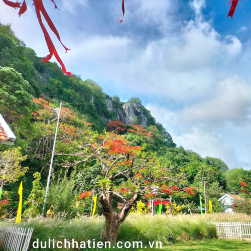 Cùng ngắm hoa phượng tại Di tích Thắng cảnh Đá Dựng